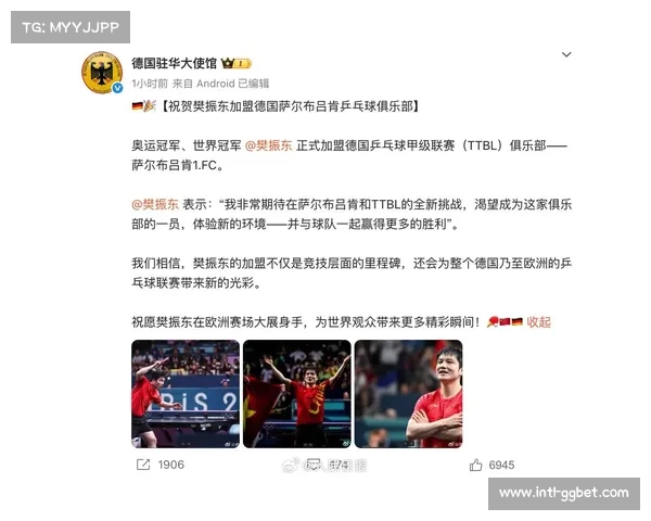 樊振东商业价值提升分析 个人赞助商拓展德国市场潜力探索 樊振东商业价值提升分析 个人赞助商拓展德国市场潜力探索