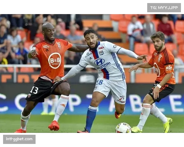 雨战中断，洛里昂主场工作人员紧急处理草皮积水